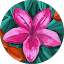 Mindy Hendry profile photo