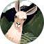 Belinda Bugg profile photo