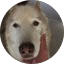 matt burn profile photo