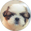 Misty Williams profile photo